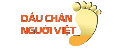 Vũ trụ SEO