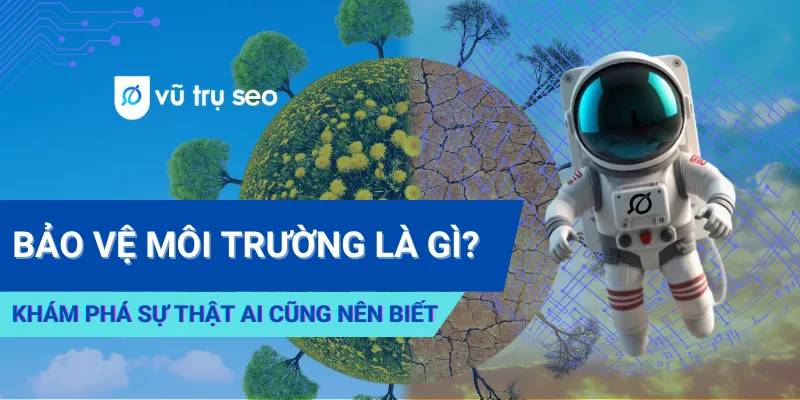 Bảo Vệ Môi Trường Là Gì? Khám Phá Sự Thật Ai Cũng Nên Biết