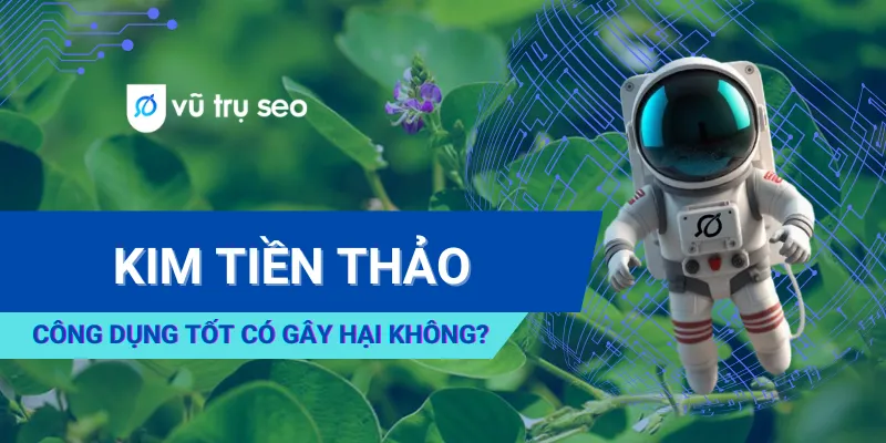 Kim Tiền Thảo: Công Dụng Tốt Nhưng Có Gây Hại Gì Không?