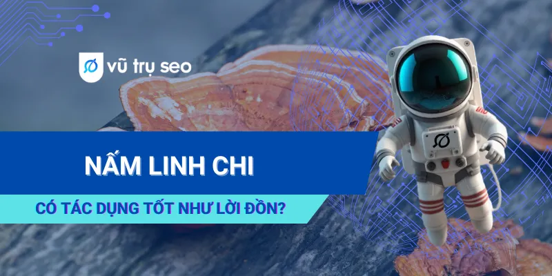 Nấm Linh Chi Có Tác Dụng Tốt Như Lời Đồn? Ai Không Nên Sử Dụng?