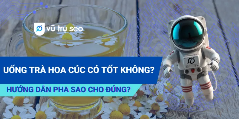 Uống Trà Hoa Cúc Có Tốt Không? Hướng Dẫn Pha Sao Cho Đúng?